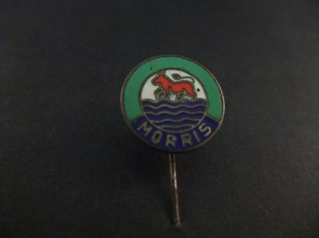 Austin Morris logo groen-blauw